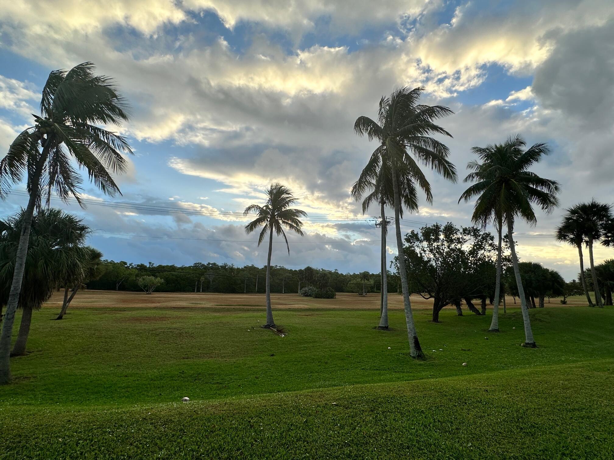 JUPITER BAY EAST CONDO - Residential