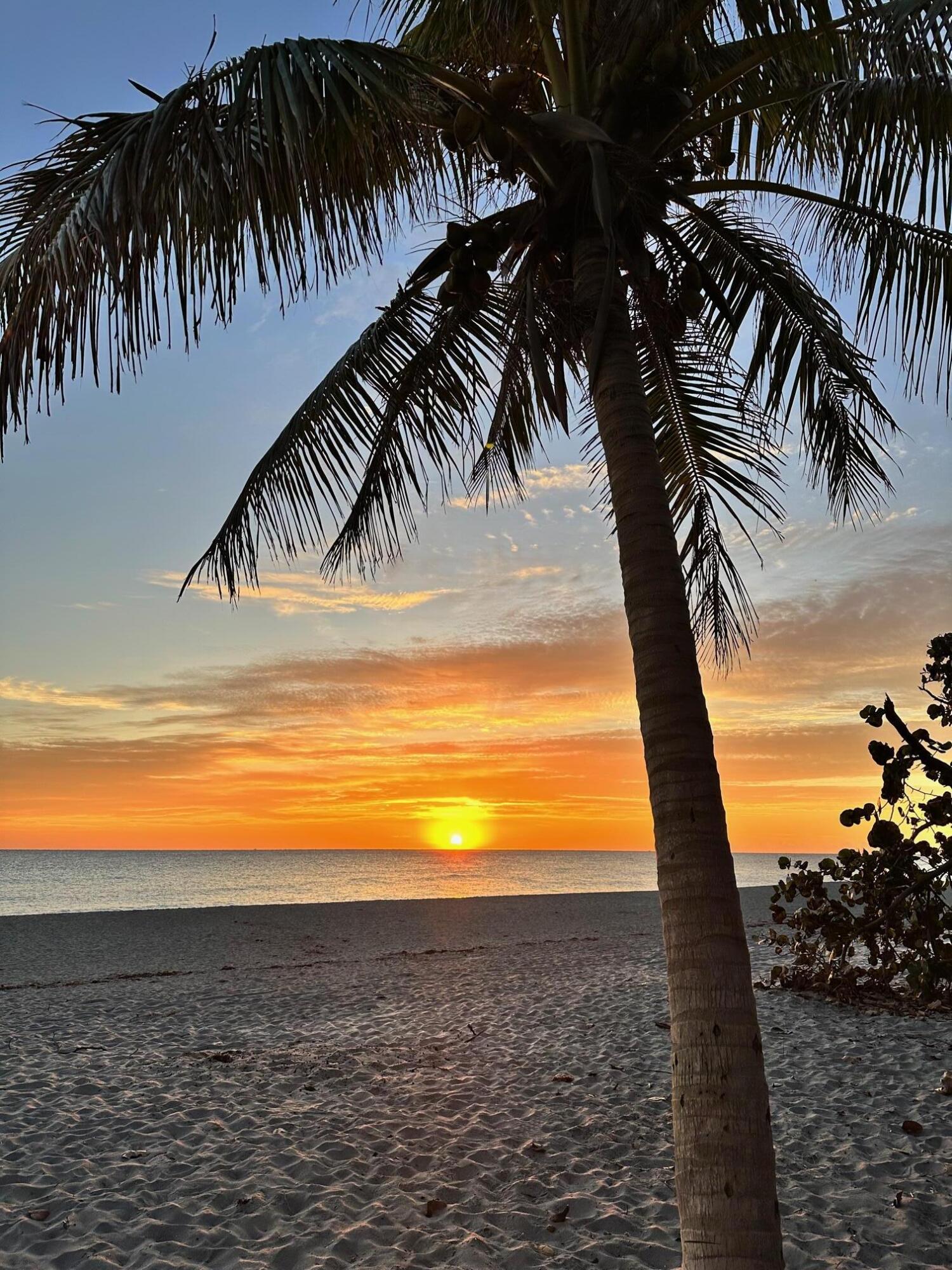 JUPITER BAY EAST CONDO - Residential