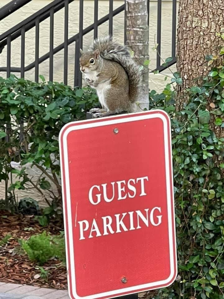 Wilton Station - Residential