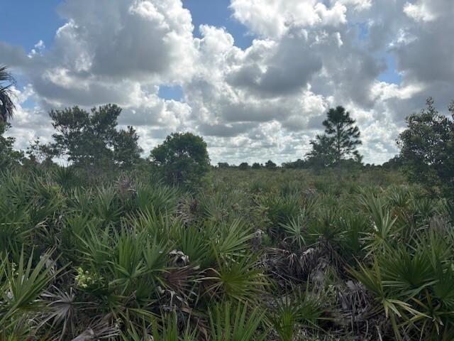 VK362 The Viking Estates - Land