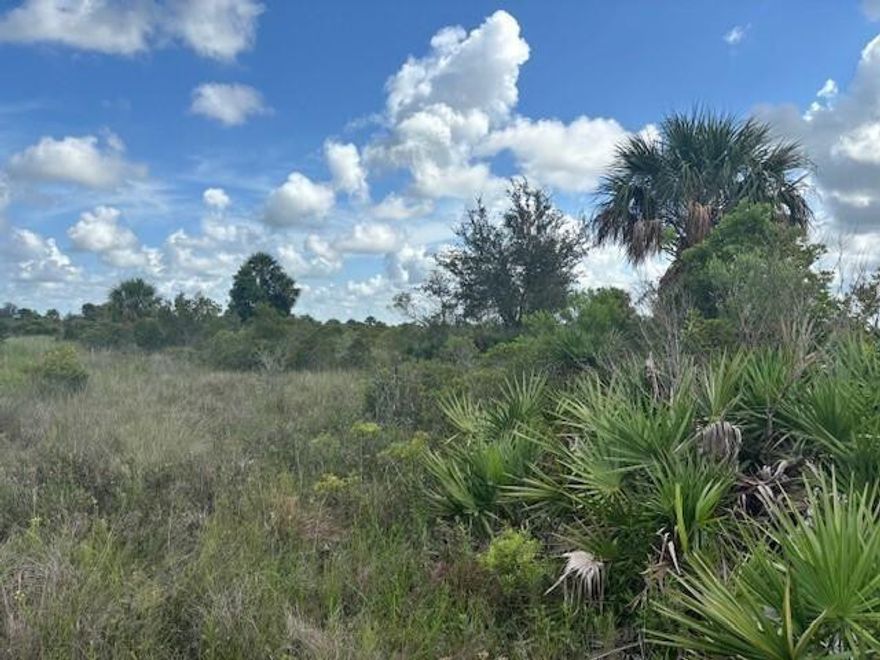 Oversized lot in Viking Estates. Close to the Kissimmee Prairie State Park. Bring your 4 -wheelers. This property is not only ideal for recreational uses such has camping, hunting and shooting, but it’s agricultural as well. Owner financing available