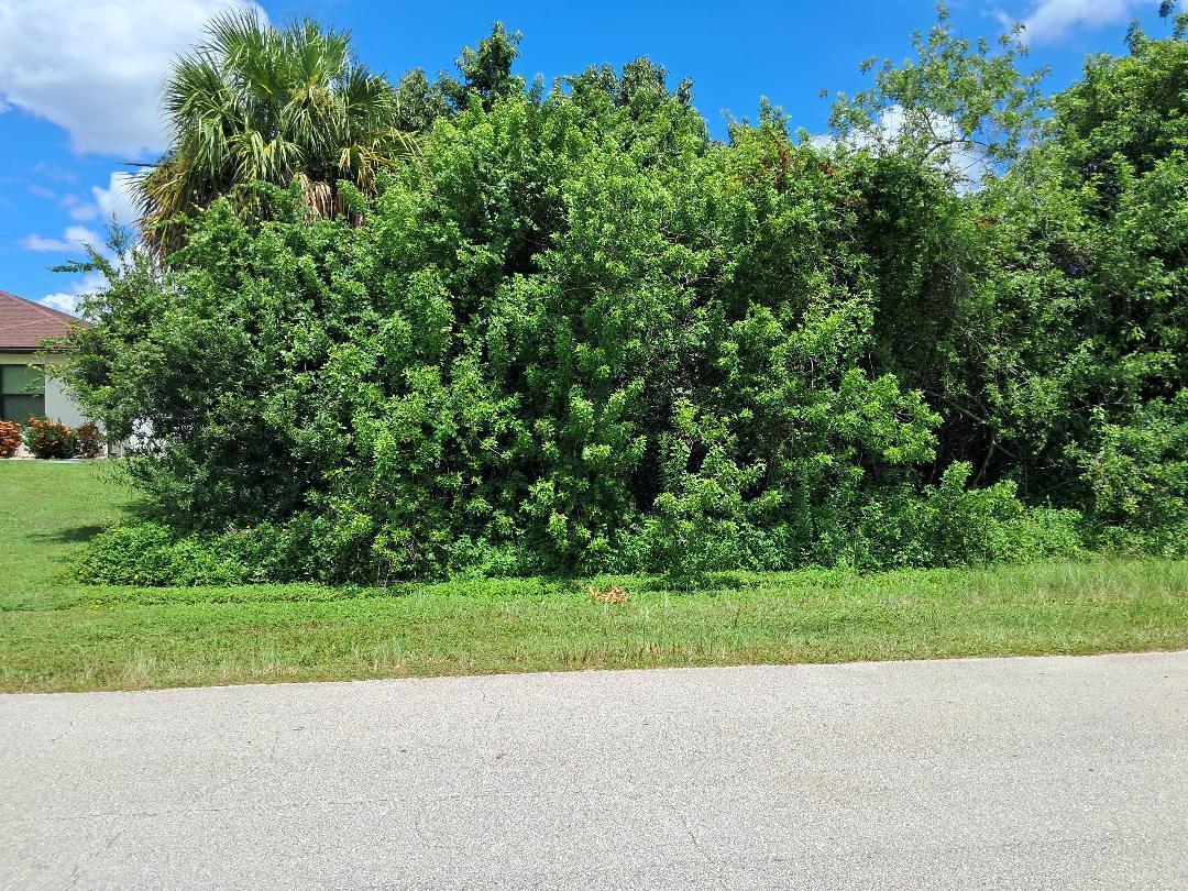 Buildable lot surrounded by houses on both sides.