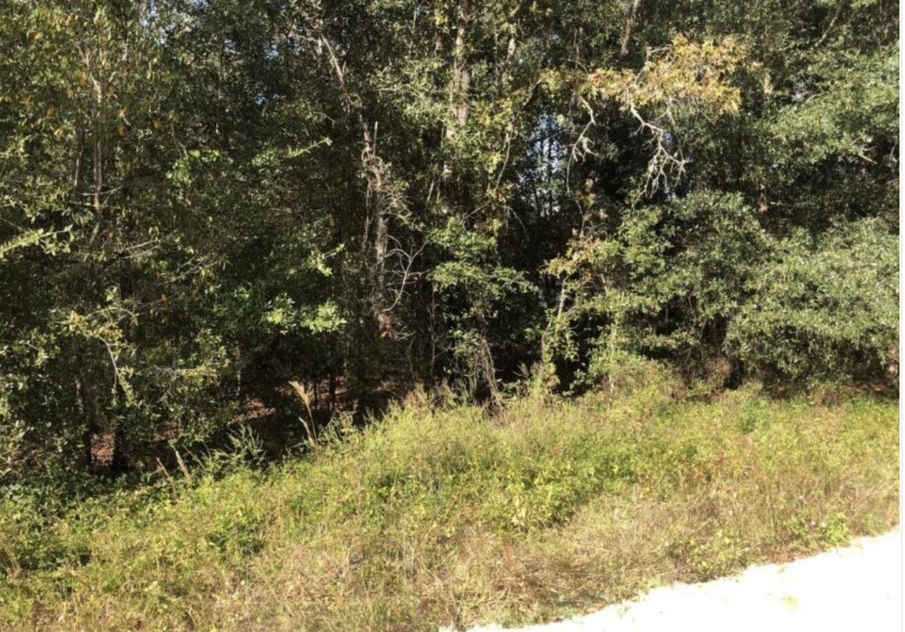 Corner property in Interlachen Lake Estates, ready to built on. R-2 residential zoned.
Owner finance available, with only $1,000 down