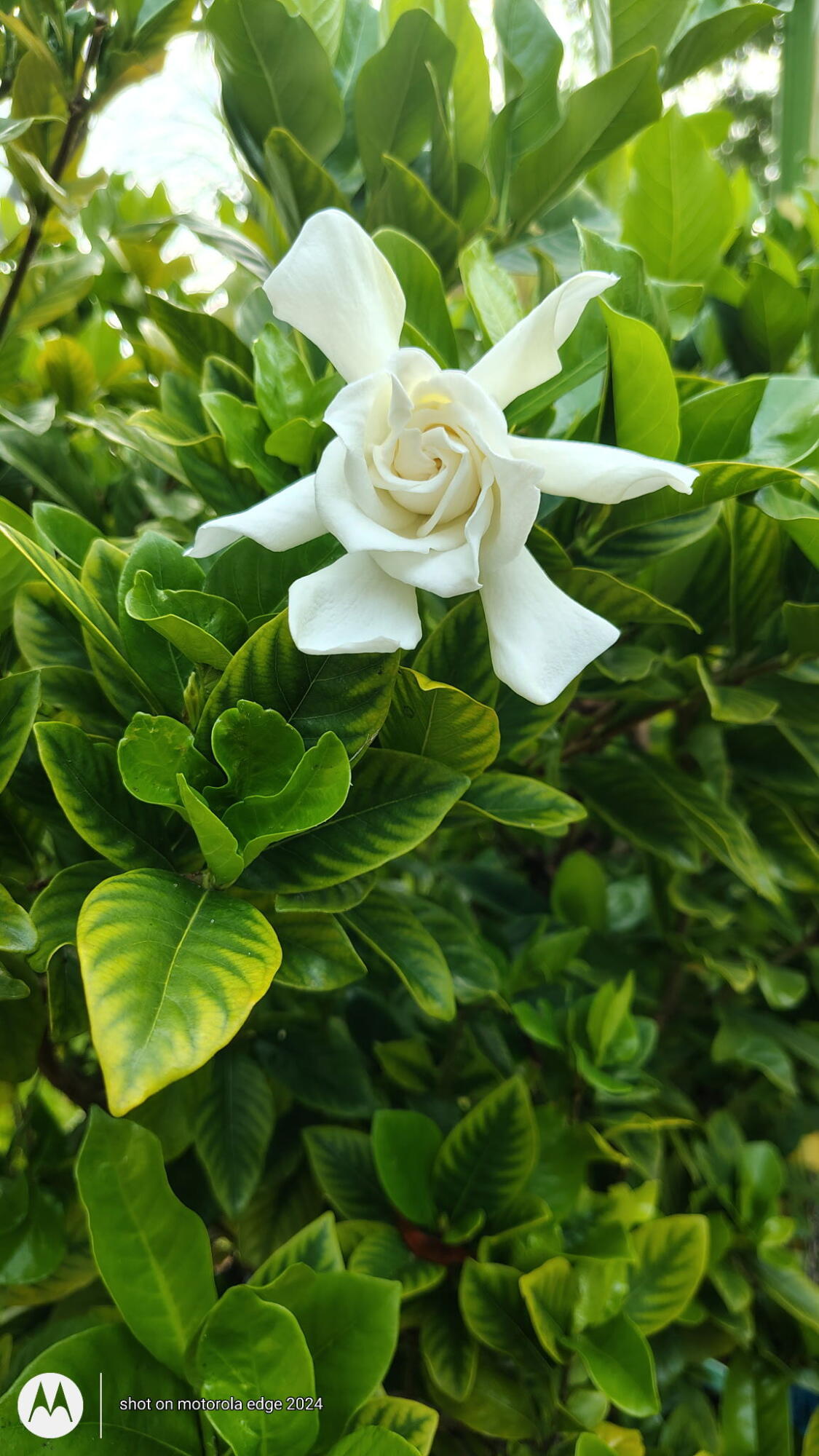 NORTH PALM BCH 1 - Residential