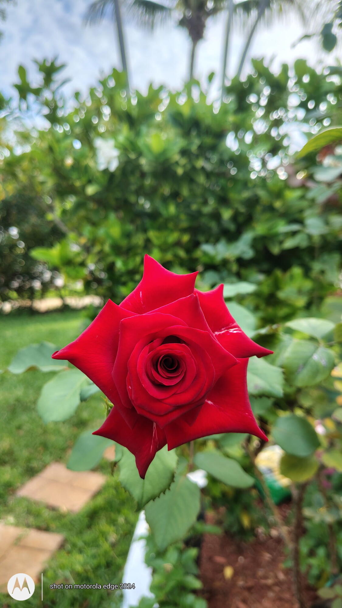 NORTH PALM BCH 1 - Residential