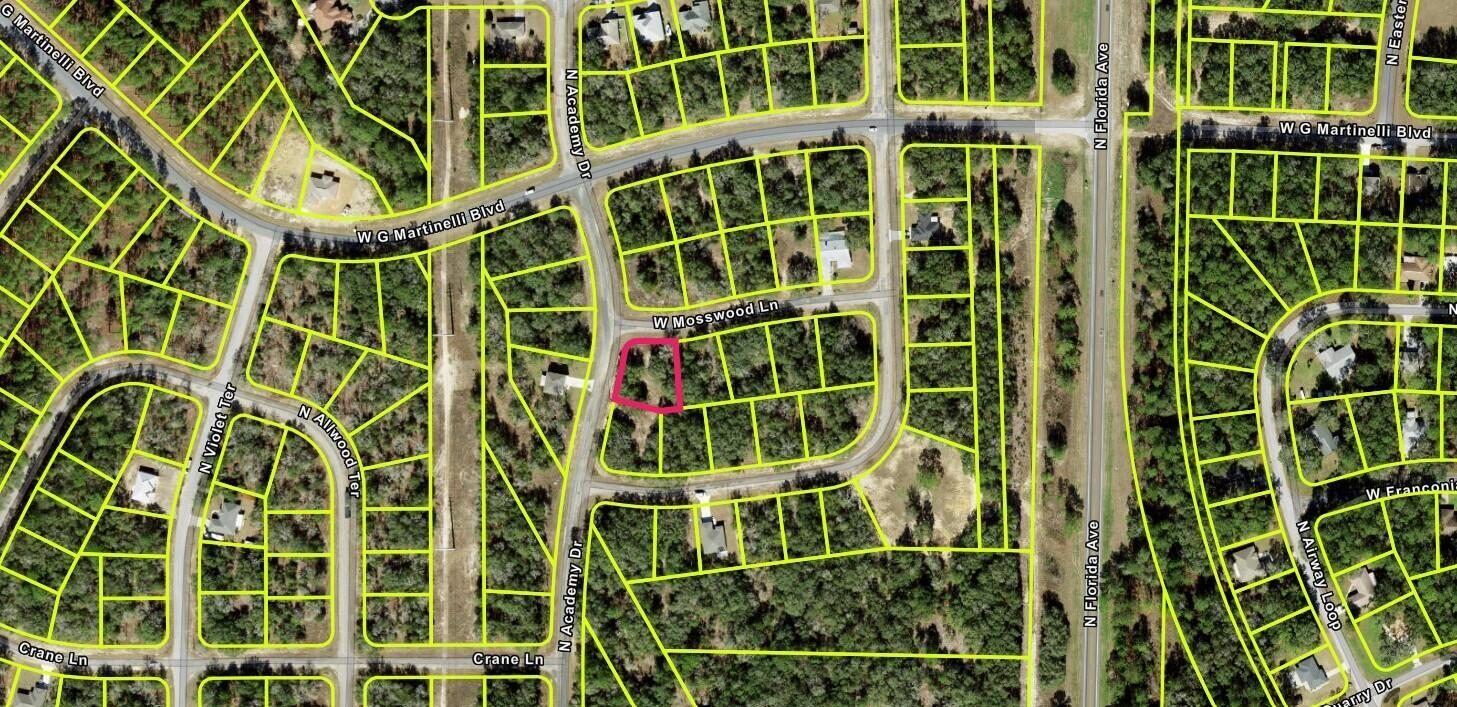 Build Your Florida Dream! Welcome to 1425 W Mosswood Ln. -- a prime .30-acre vacant lot nestled in the growing community of Citrus Springs. This beautiful residential parcel offers a peaceful, wooded setting with paved road access, no HOA, and public water available. Whether you're looking to build your forever home or invest in the future, this lot is ideal with nearby schools, shopping, medical facilities, and recreational opportunities including golf courses, parks, and the Withlacoochee State Trail. Conveniently located just a short drive from Dunnellon, Crystal River, and Ocala. No flood zone. No time limit to build. Don't miss this opportunity to own a piece of Florida's Nature Coast!