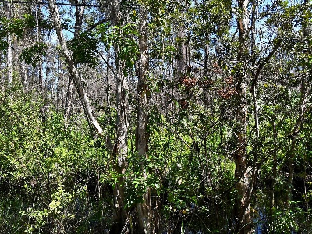 Photo of -- Dyer Road, Fort Pierce, FL 34952 (MLS # R11159229)