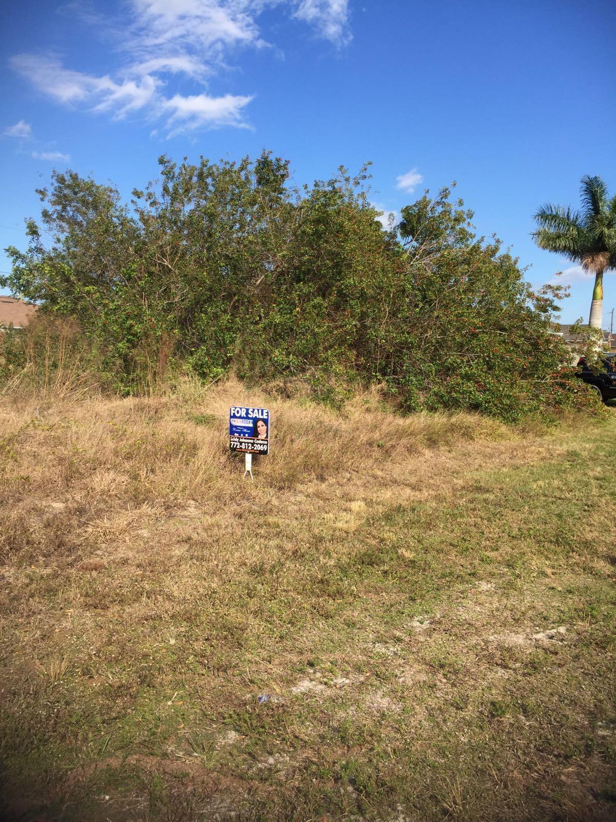 THIS LOT IS CLEAN AND READY TO BUILD THEHOUSE. SELLER IS MOTIVATED, MAKE AN OFFER! EASY TERMS!