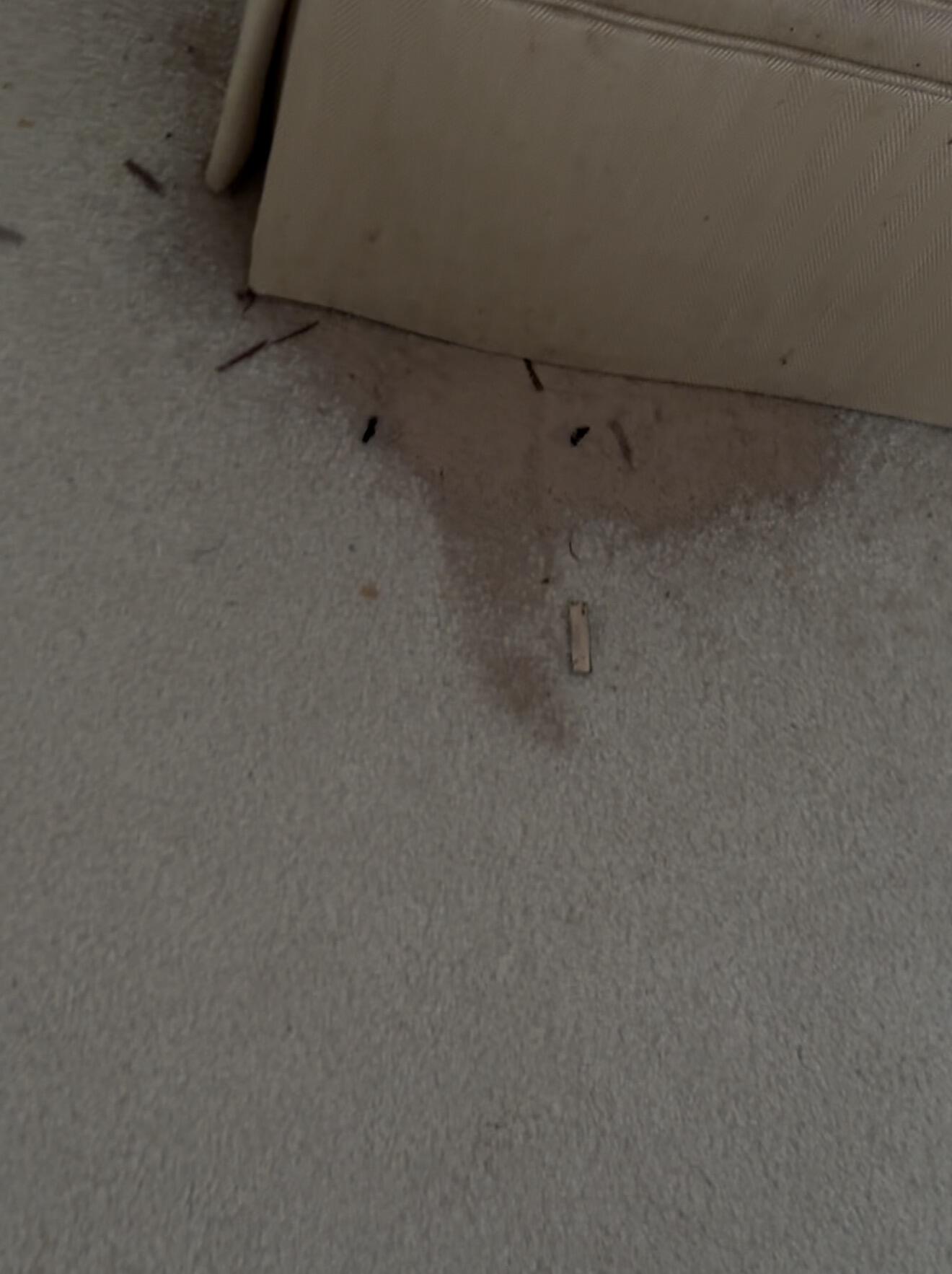 2398 Saratoga Bay Drive