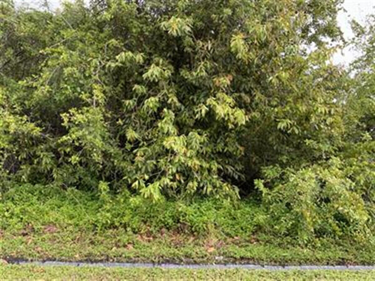 PORT ST LUCIE SECTION  34 - Land