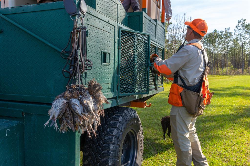 Quail Creek - Residential
