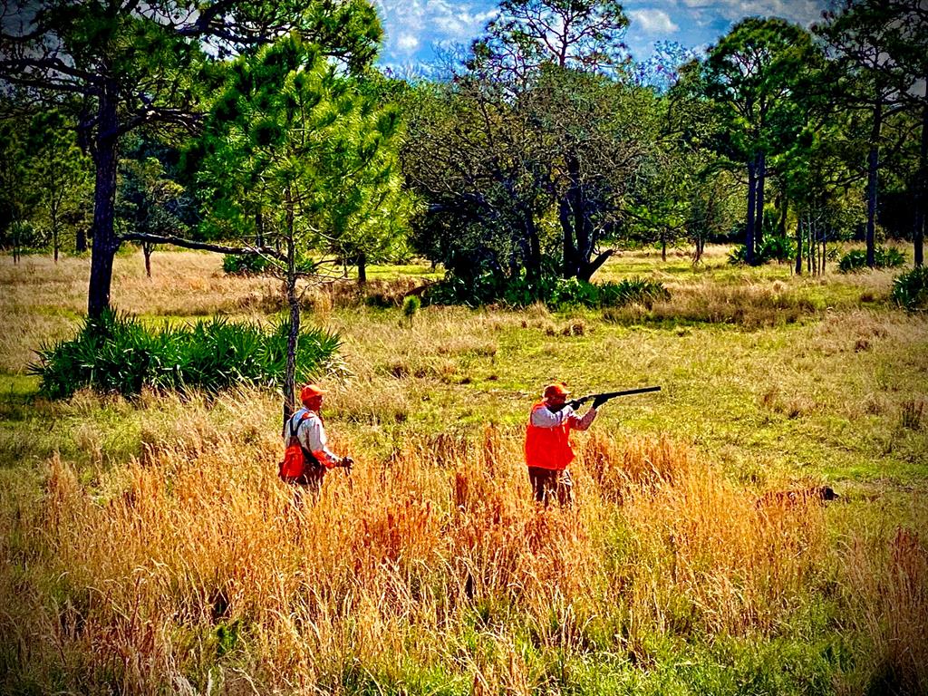 Quail Creek - Residential