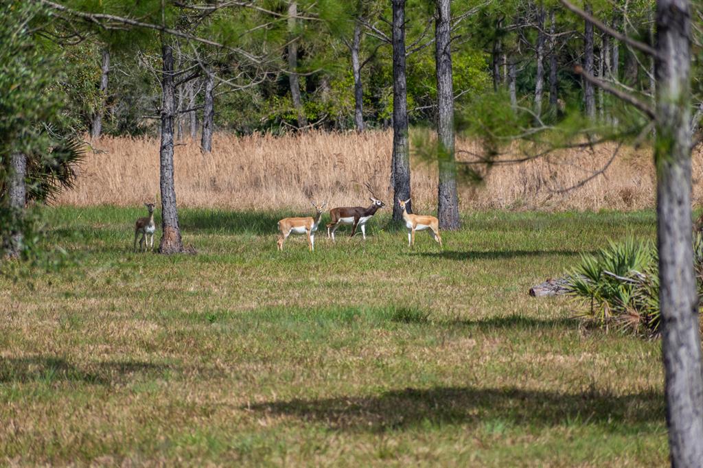 Quail Creek - Residential