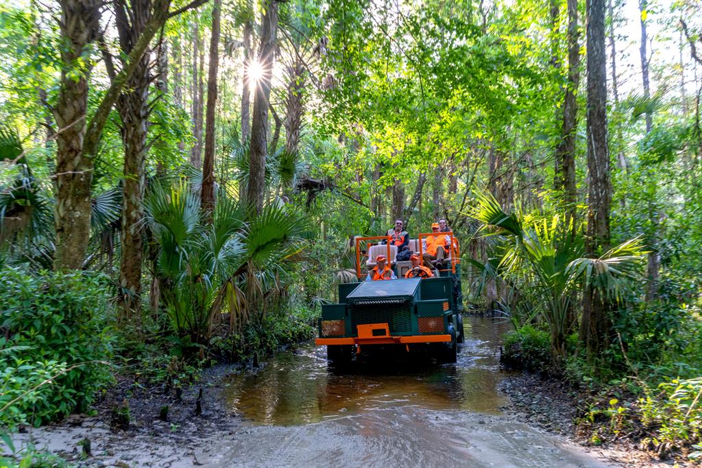 Quail Creek - Residential