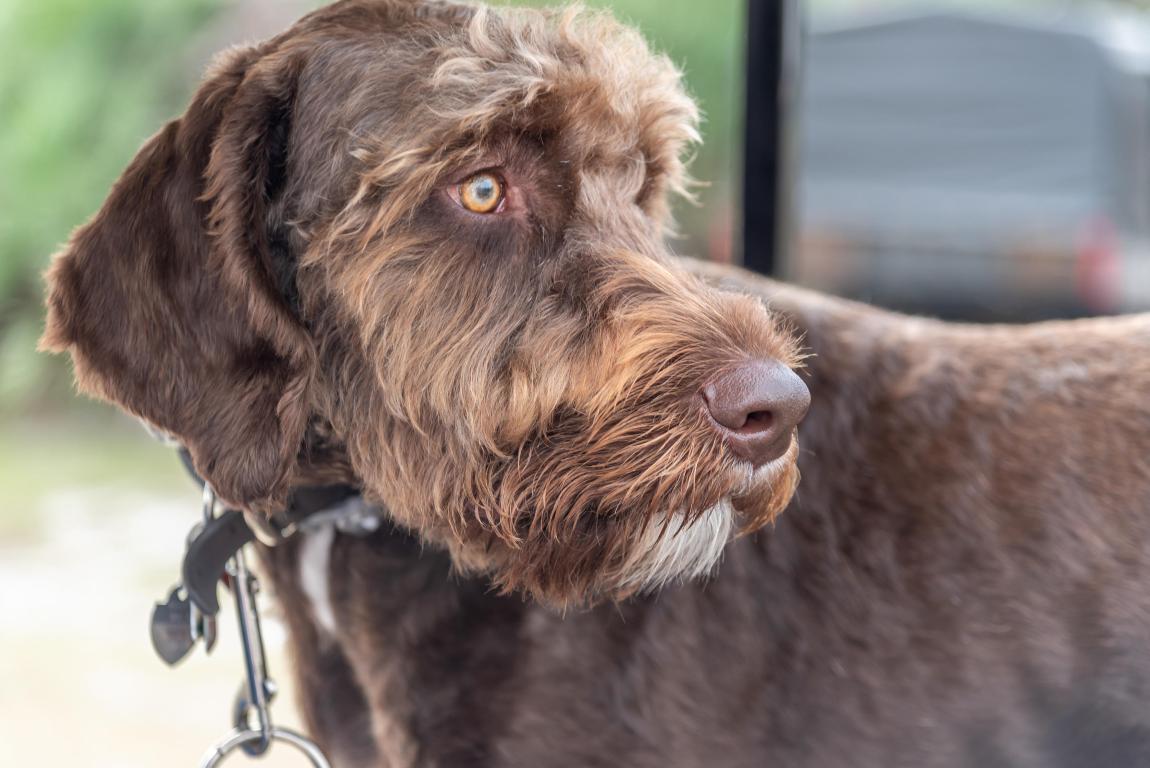 Quail Creek - Residential