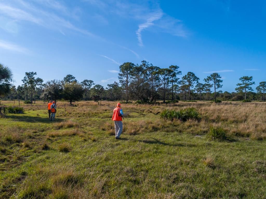 Quail Creek - Residential