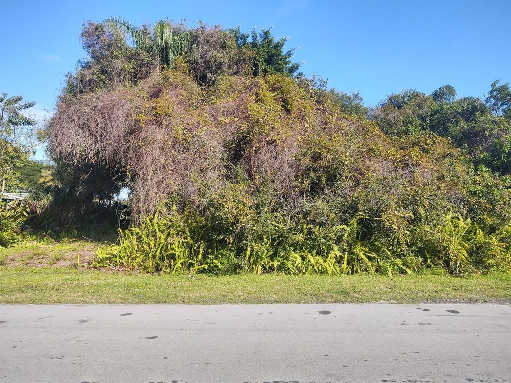 Photo of 1771 SE Dominic Avenue, Port Saint Lucie, FL 34952 (MLS # R10768212)