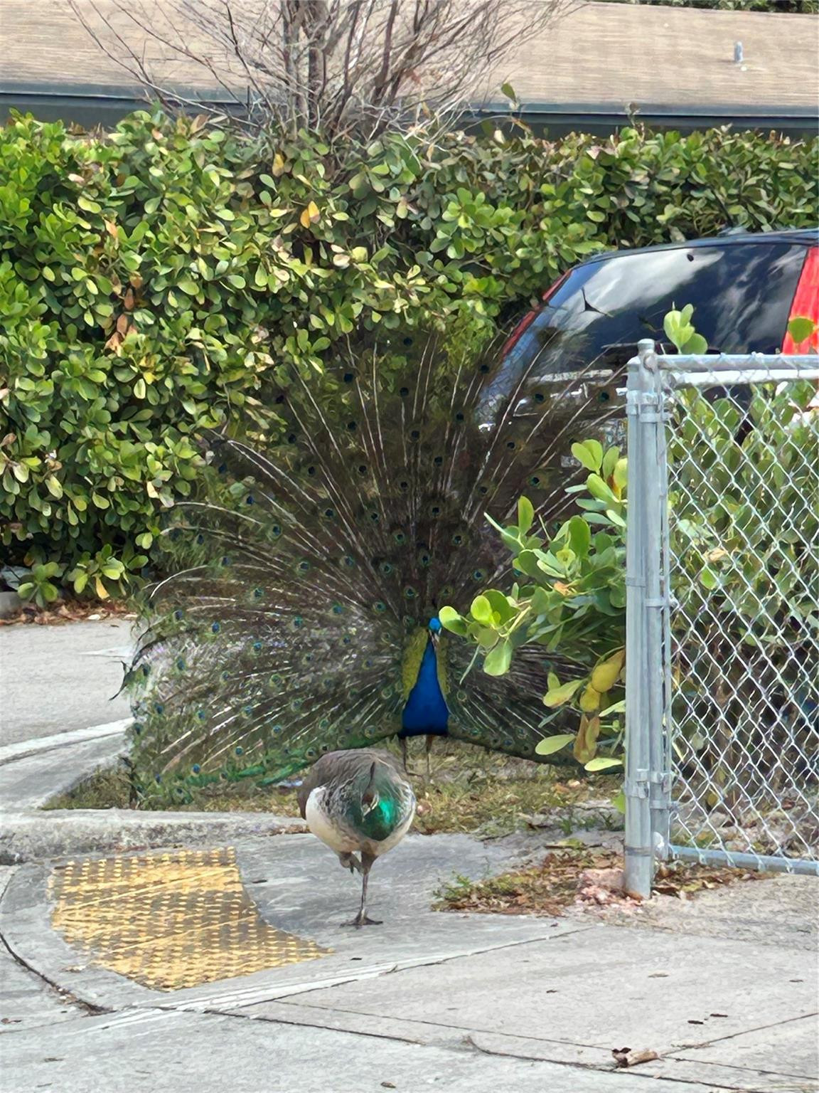 PROGRESSO 2-18 D LOT 16 BLK 63 - Residential Income