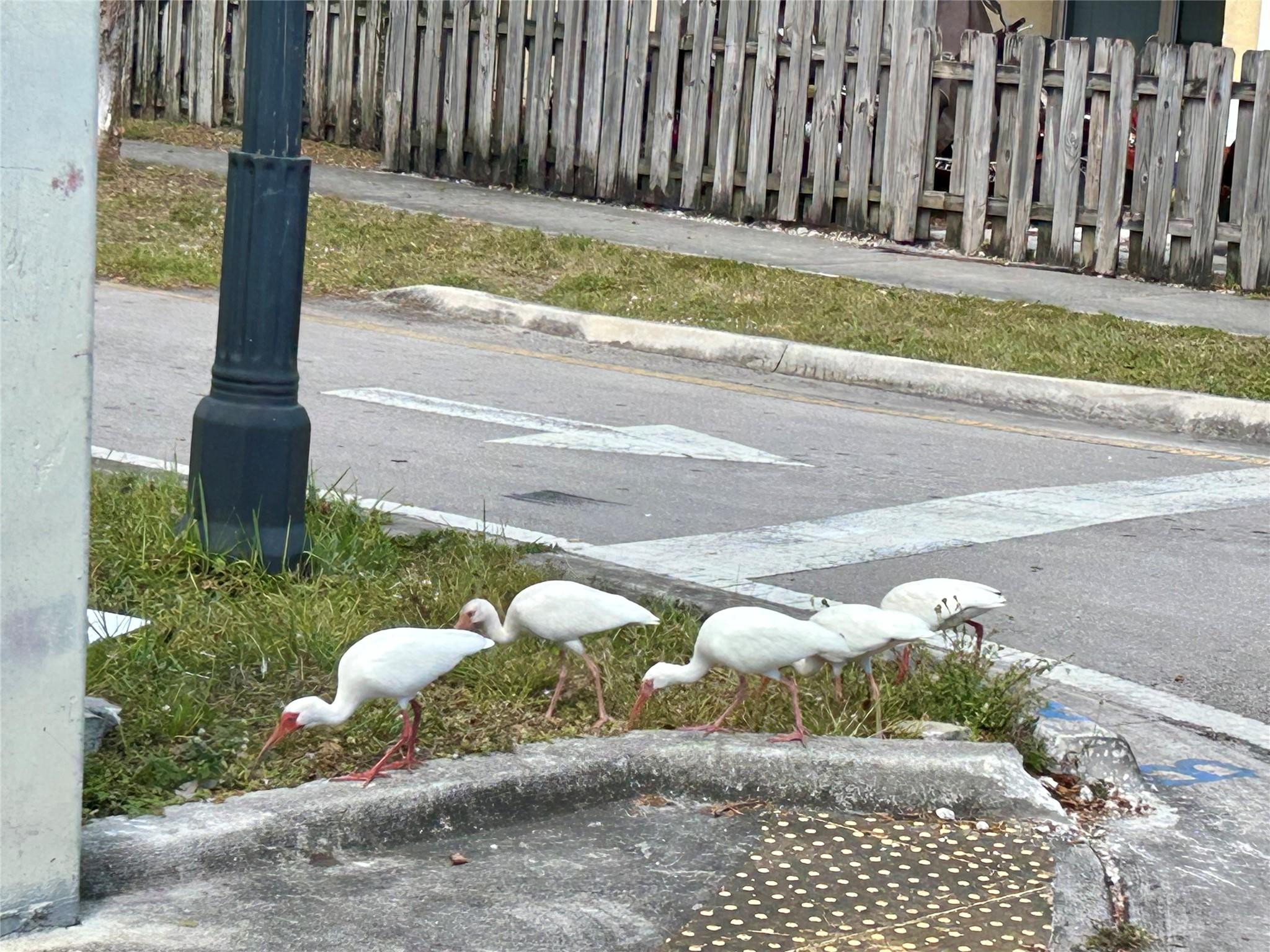 PROGRESSO 2-18 D LOT 16 BLK 63 - Residential Income