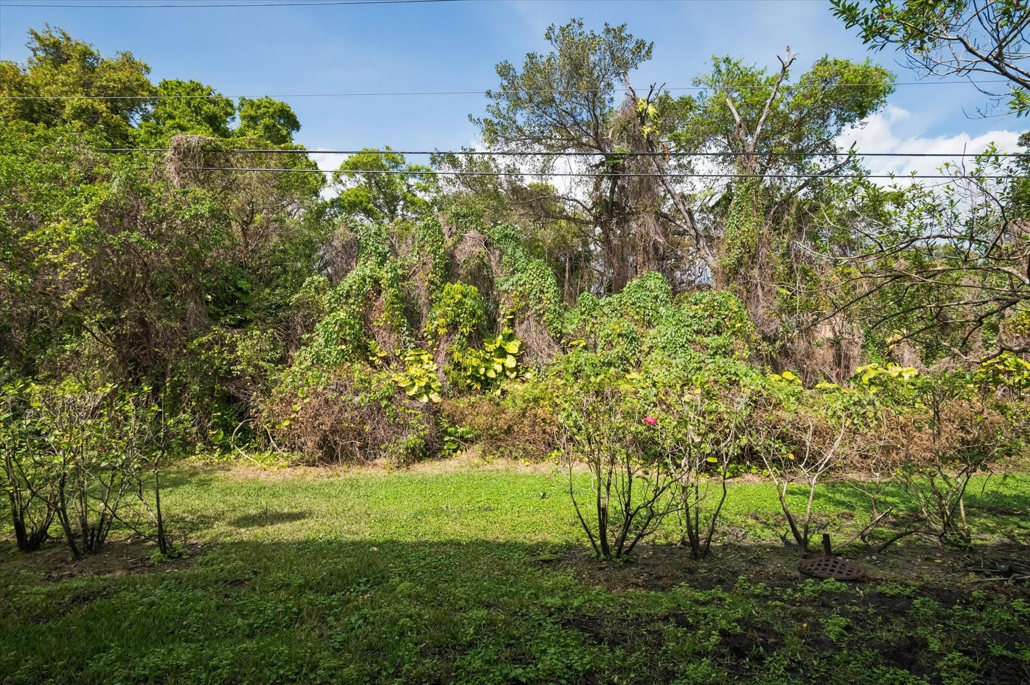 The Oaks - Residential