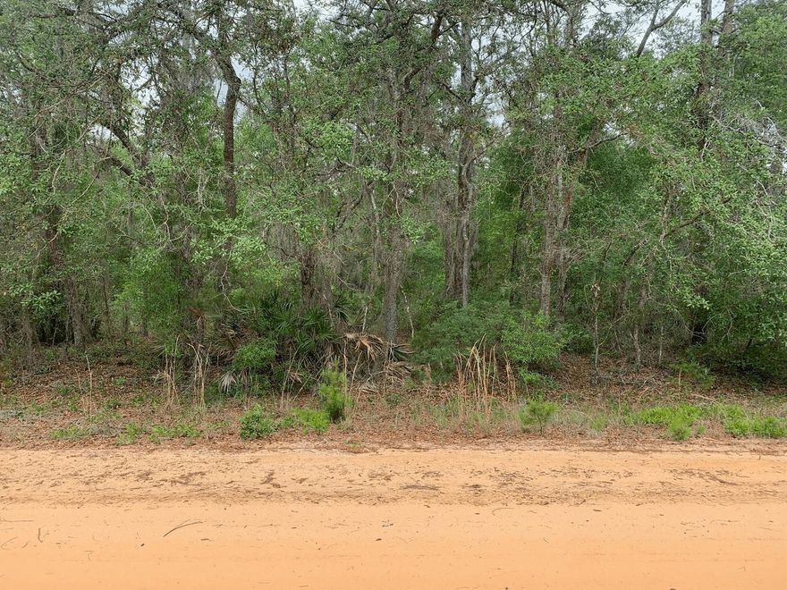 Mobile Homes and RVs permitted.
Adjacent land available for purchase. Owner finance with $1,500k down