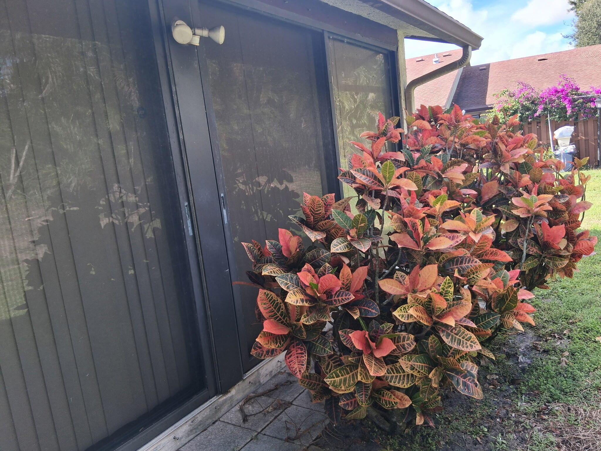 OAKWOOD PLAT II - Residential