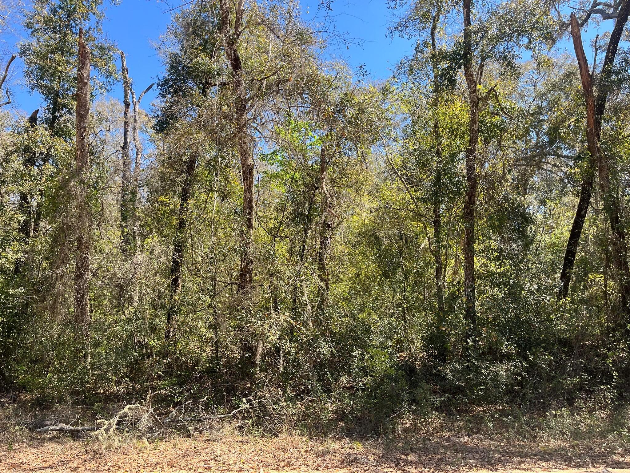 Tbd Walker Drive 5
