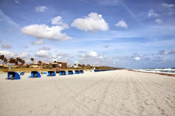 Sabal Pine East - Residential