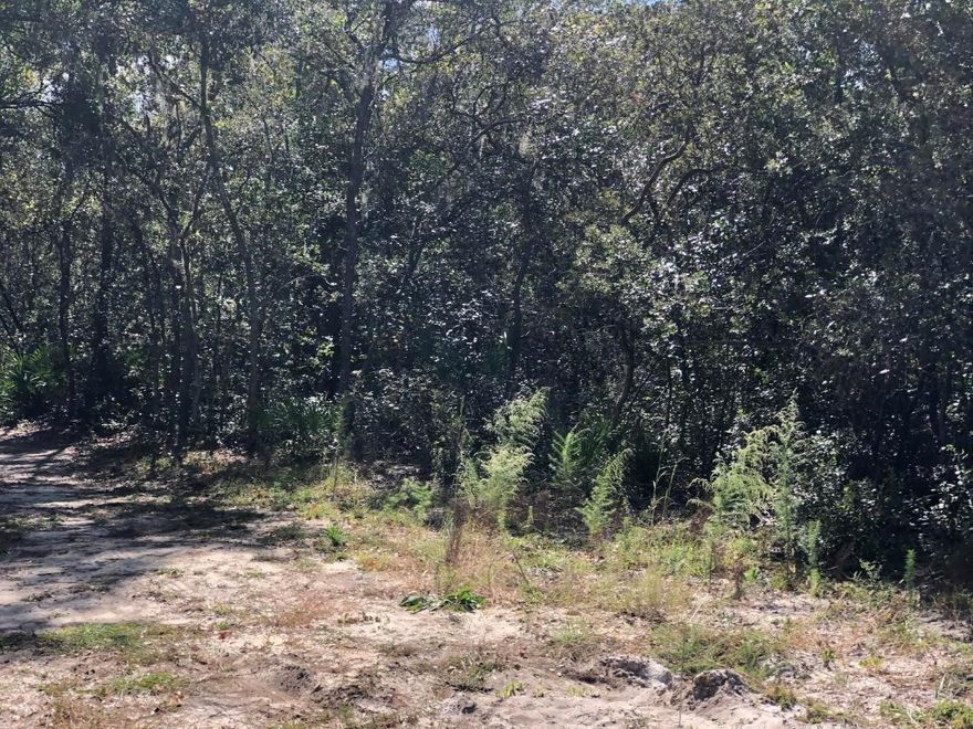 Be the first to build on this pristine Interlachen lot in sunny FL. Close to the lake and away from it all. Make this nature lovers paradise yours by scheduling a showing or driving by today!Owner Finance with only $1,500 down