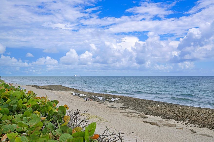 Available now for Seasonal or Annual Rental! Bright and open, fully-furnished. 3-bedroom, 2-bathroom condo with split floor plan and coastal design. Fully renovated with hurricane impact windows/doors and washer & dryer in-unit. Every bedroom offers balcony access with ocean breezes. Located in a gated community with secure building access, pool, gym, and direct beach access with chair & umbrella service. Walk to Singer Island dining and entertainment.