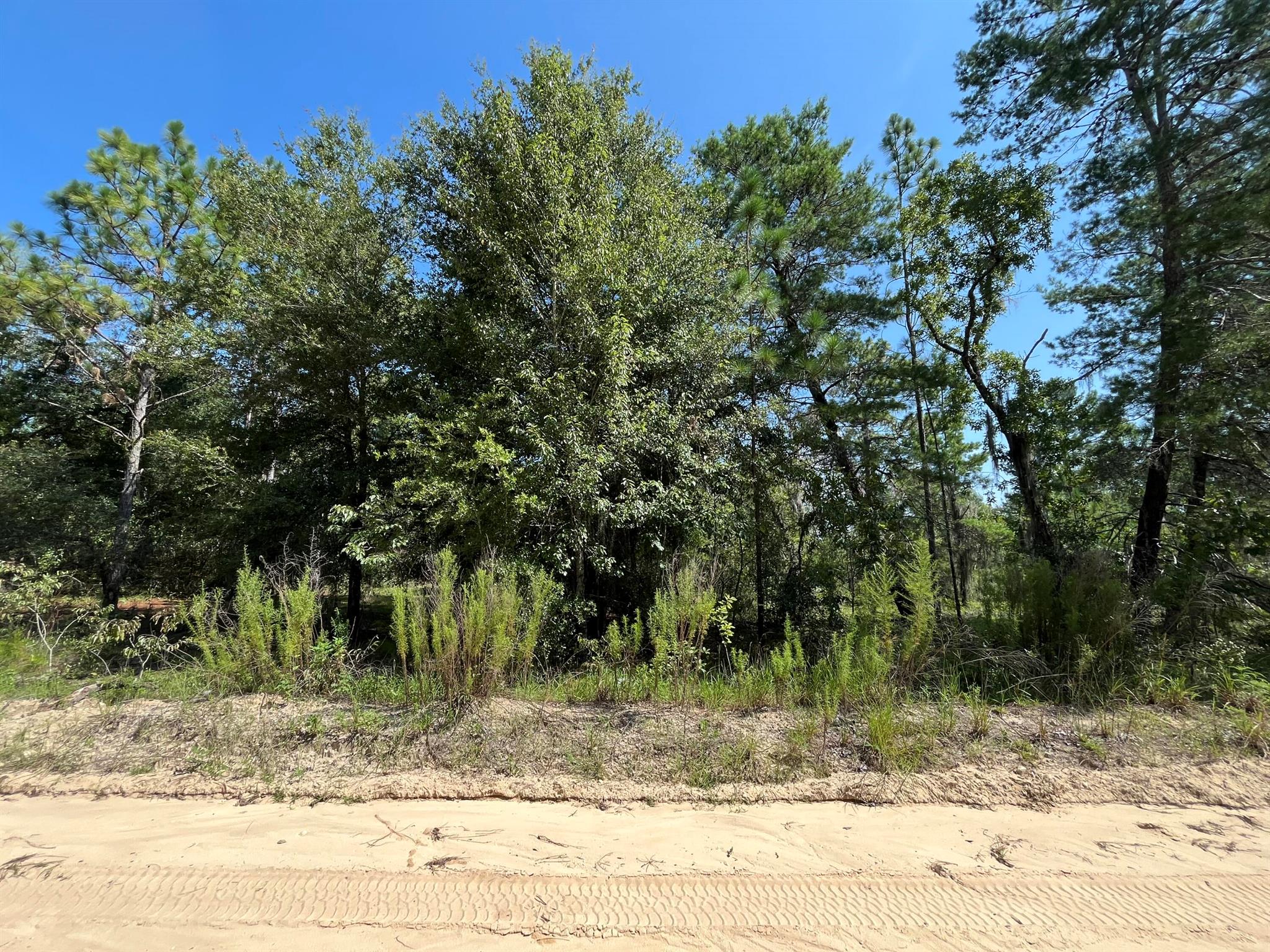Owner financing is available! Build or bring your mobile home to this stunning lot in the growing city of Interlachen. With power lines already in place, accessing electricity is a breeze. Located within minutes of schools, restaurants, diners, and parks. An easy commute to Gainesville or Palatka and less than an hour from the beach. Investing in land in Florida is a wise choice for your future, whether you're looking to build your dream home, a vacation getaway, a rental property, or simply let the land appreciate as a valuable long-term asset to resell at a profit in the future.