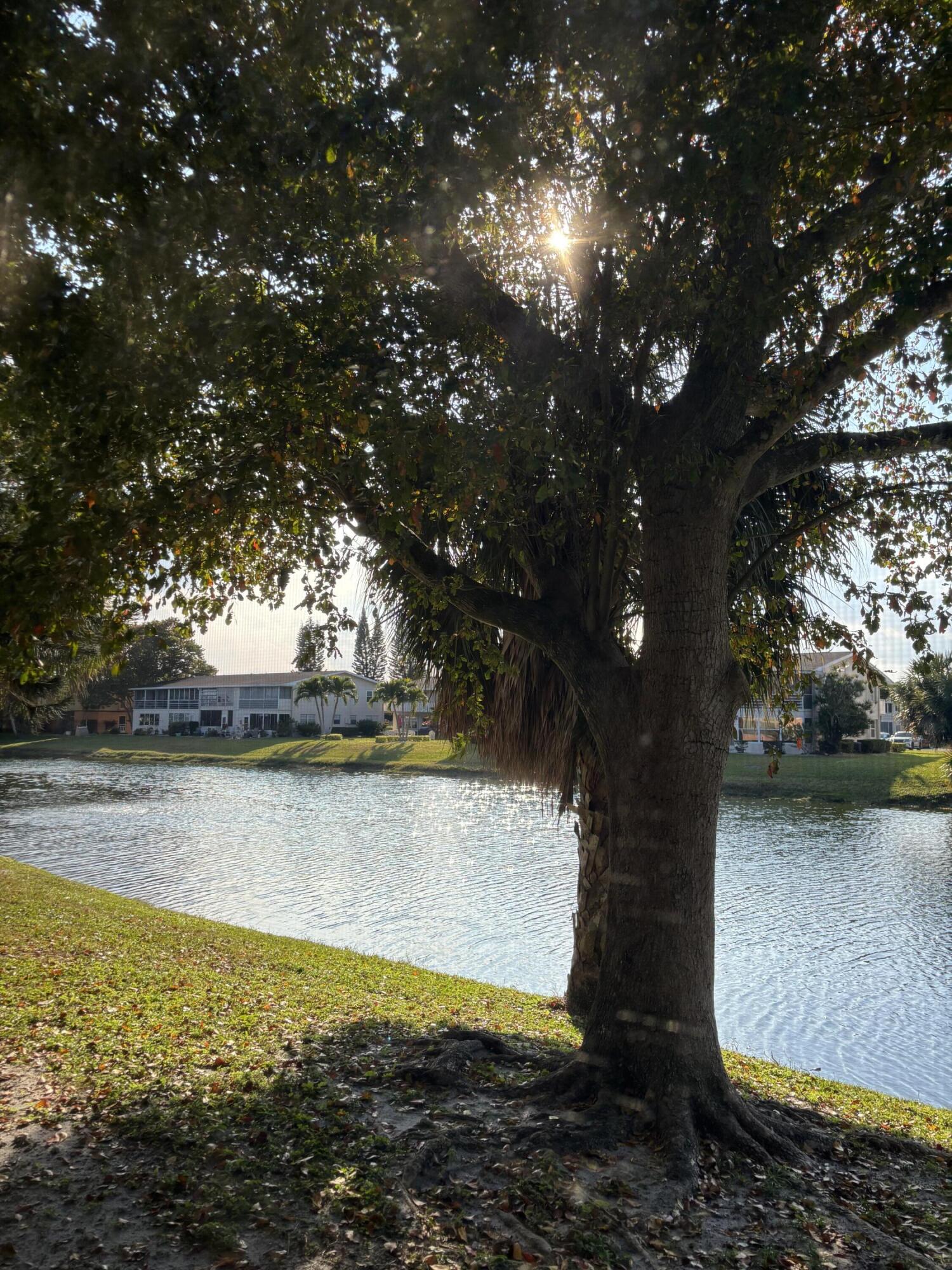 CENTURY VILLAGE - Residential Lease