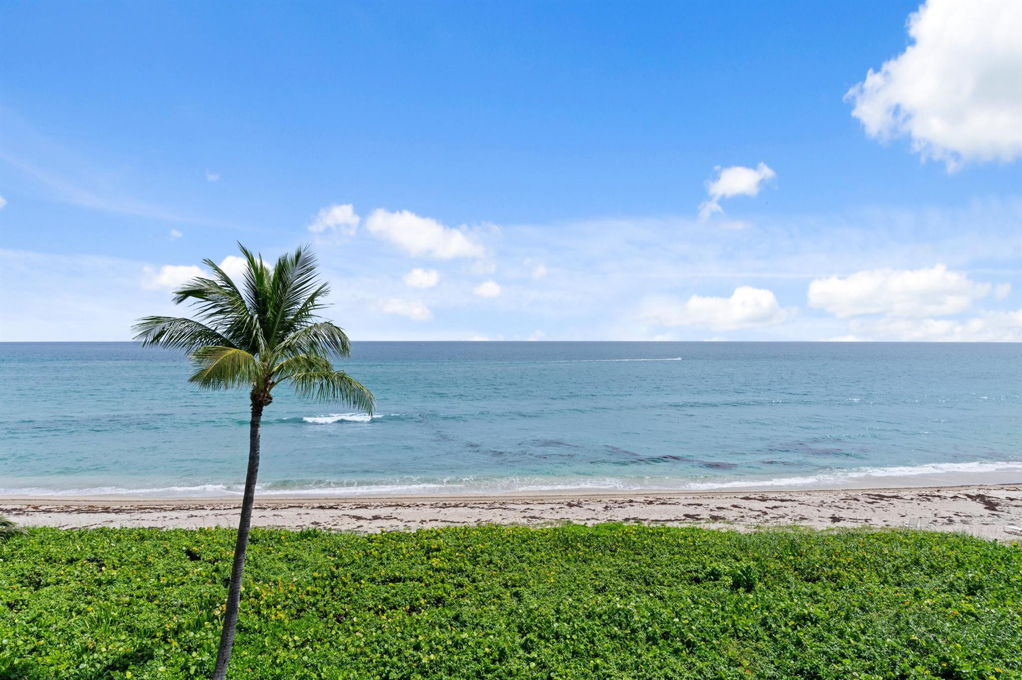 THIRTY ONE TWENTY CONDO - Residential Lease