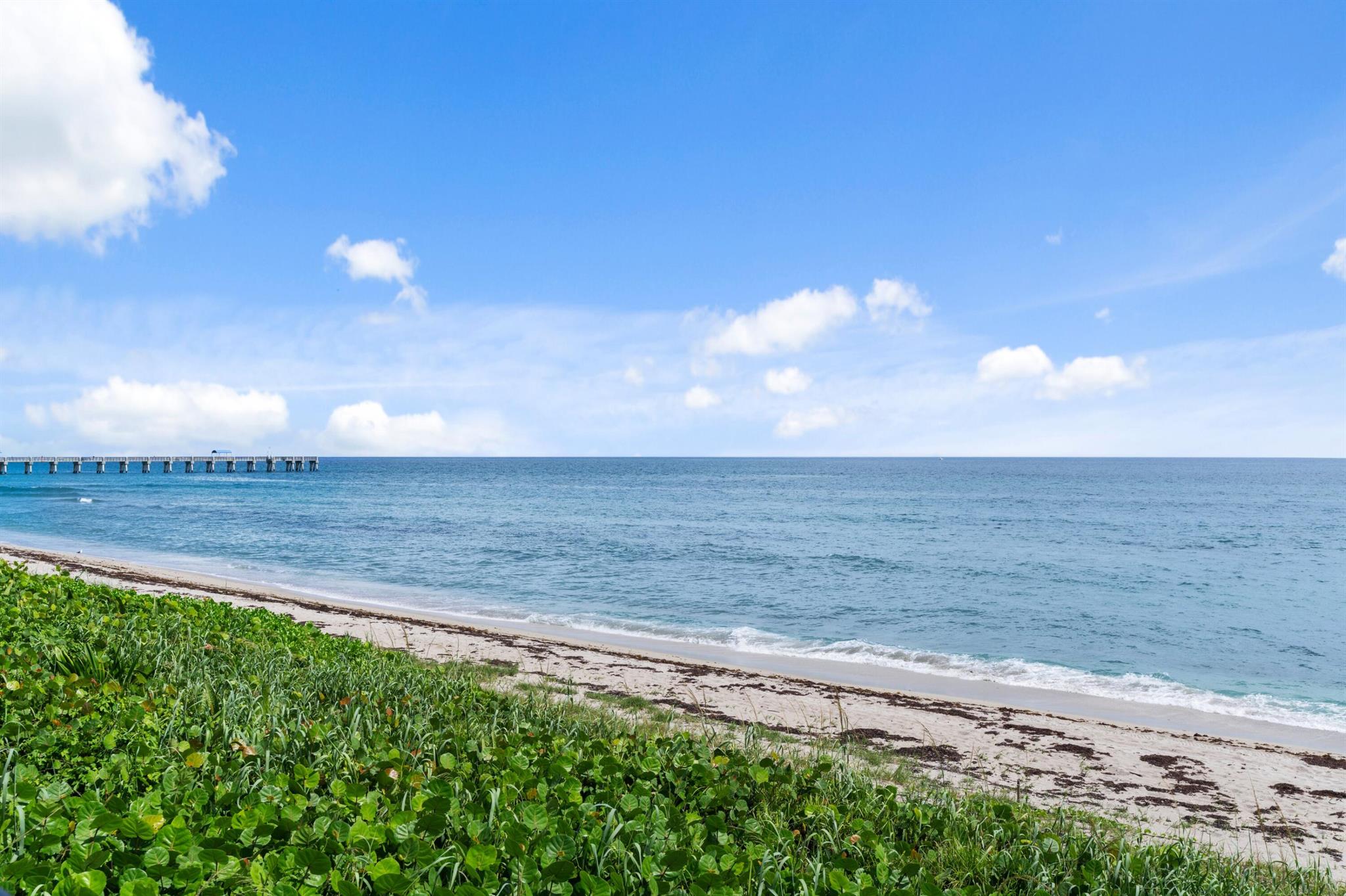 THIRTY ONE TWENTY CONDO - Residential Lease