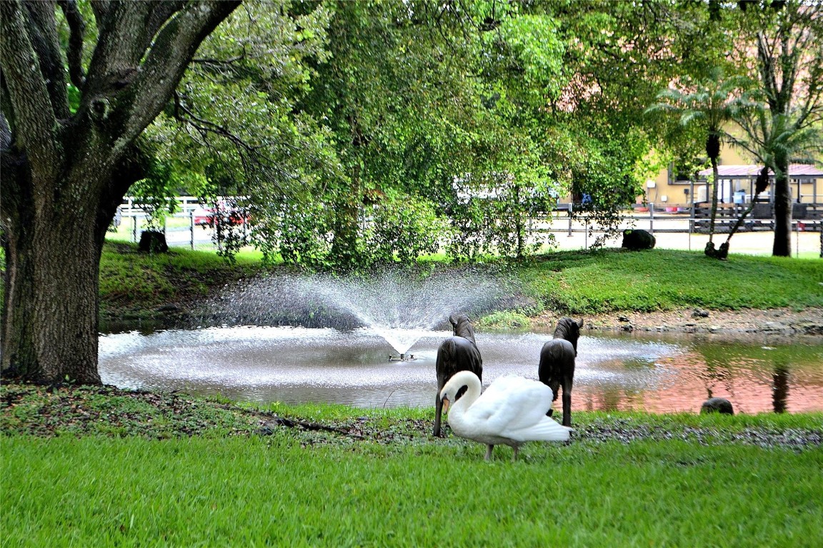 Chambers Sub Nw1/4 1-5b B - Residential