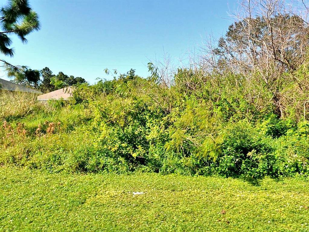 Photo of 2052 SW Greenan Lane, Port Saint Lucie, FL 34953 (MLS # R10706410)