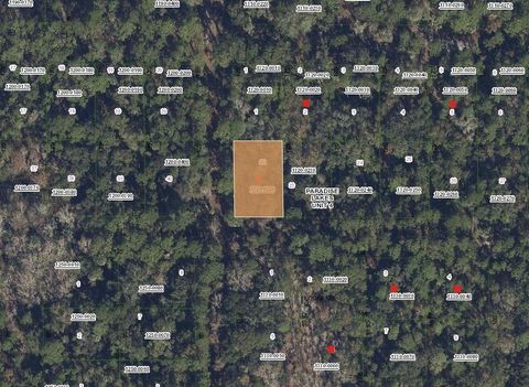 Tbd Mandarin Avenue Georgetown FL 32139