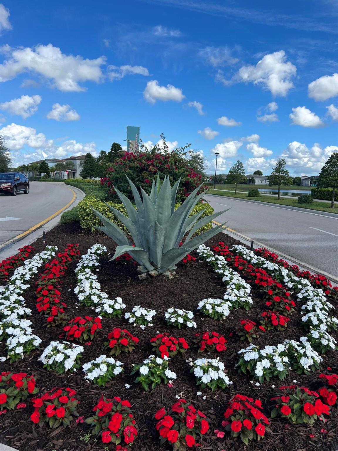 SKY COVE - Residential