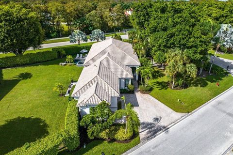 A home in Wellington