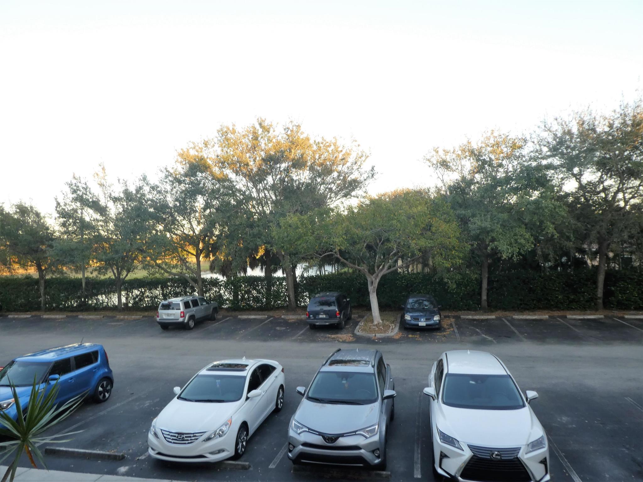 RIVIERA PALMS CONDO - Residential Lease