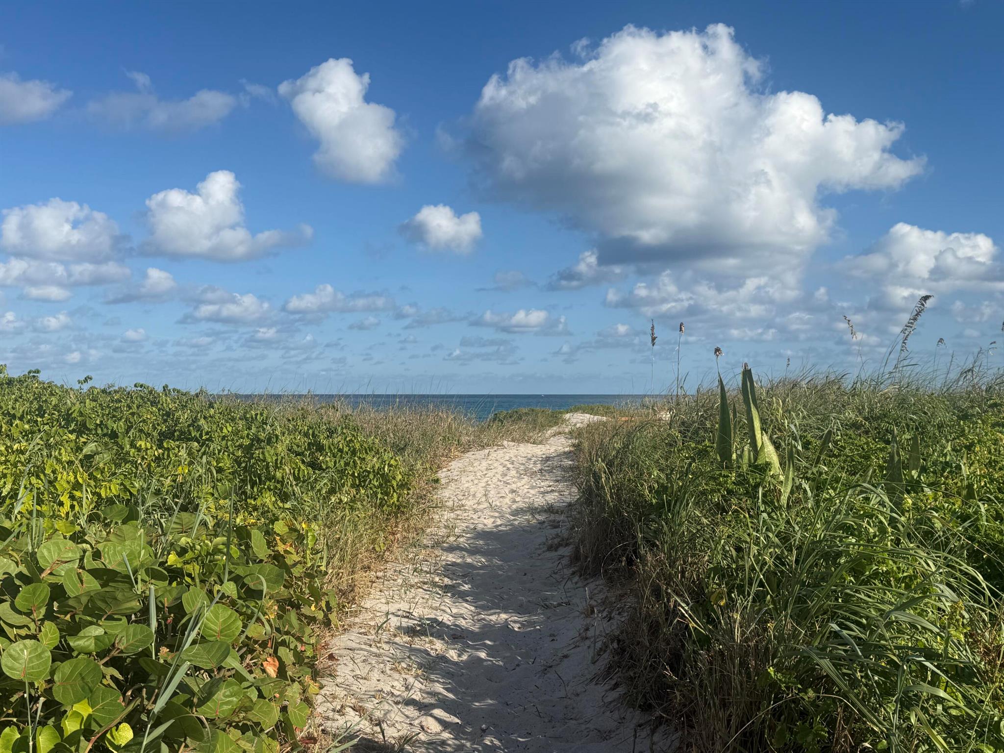 VILLAS ON THE OCEAN - Residential Lease