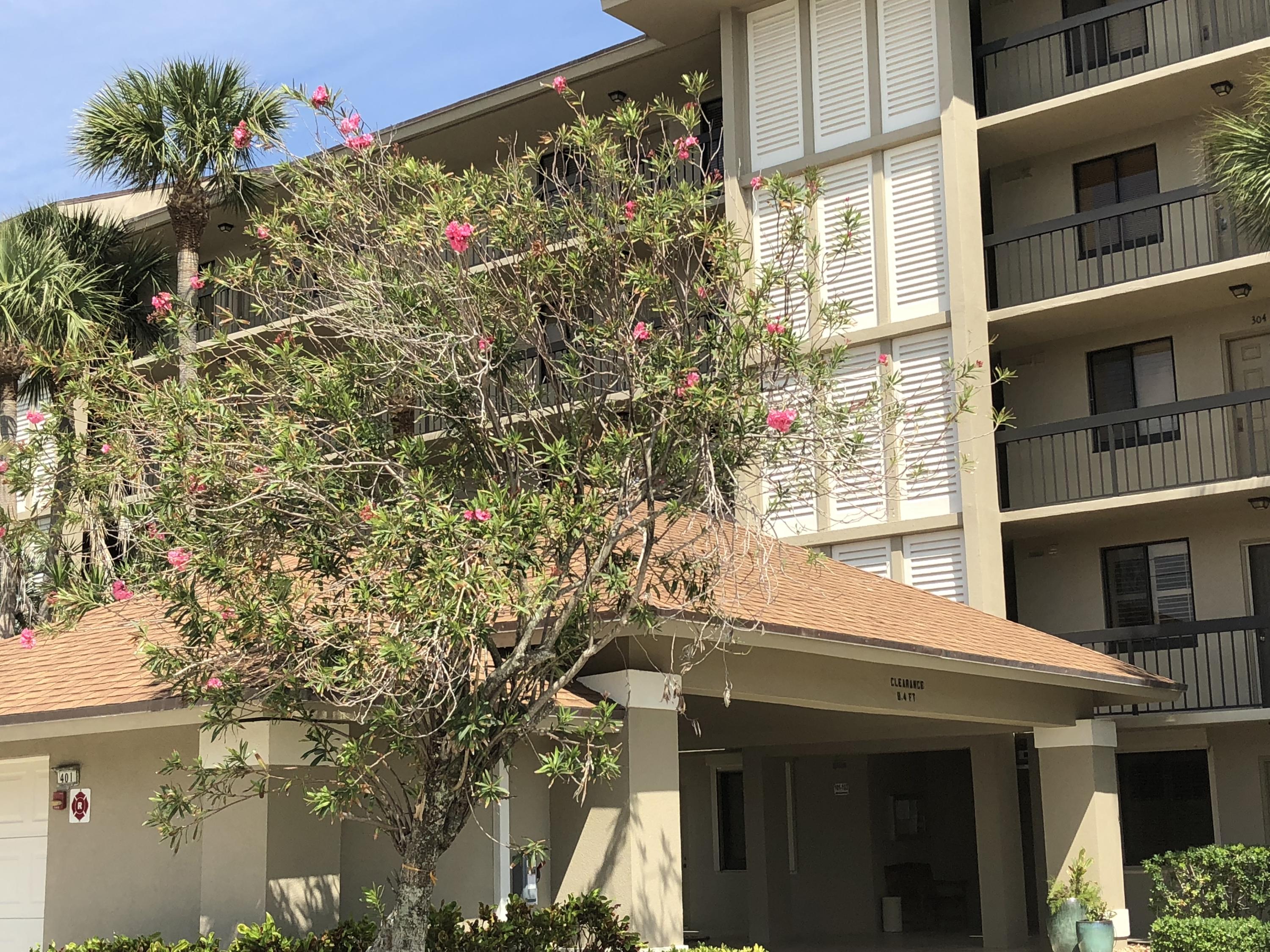 OCEAN AT THE BLUFFS SOUTH - Residential