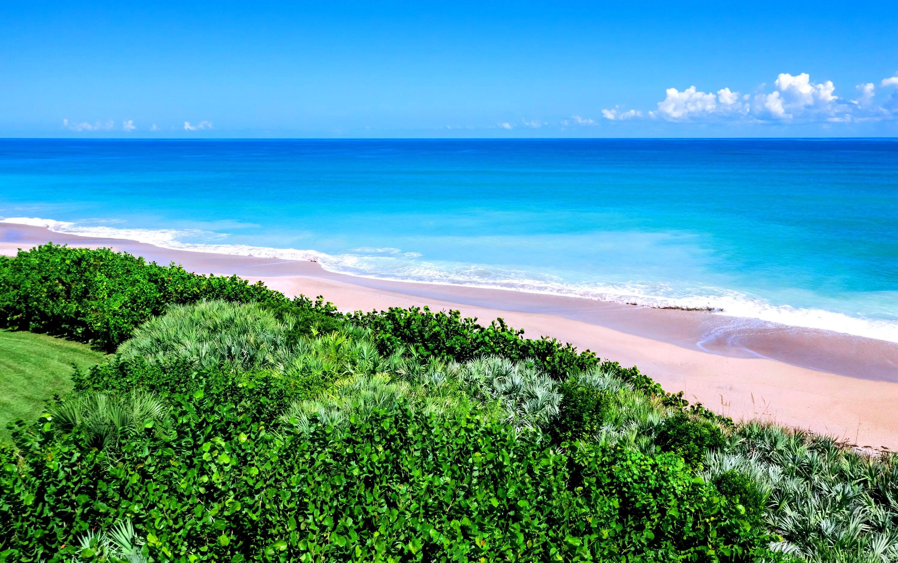 BEACH VILLAS AT SEA OAKS CONDO - Residential