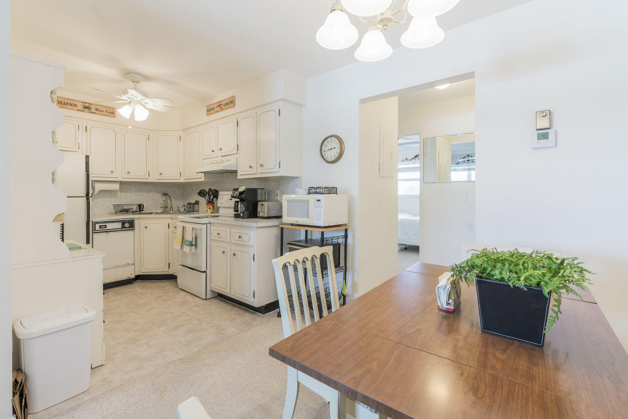 228 Hibiscus Avenue 334