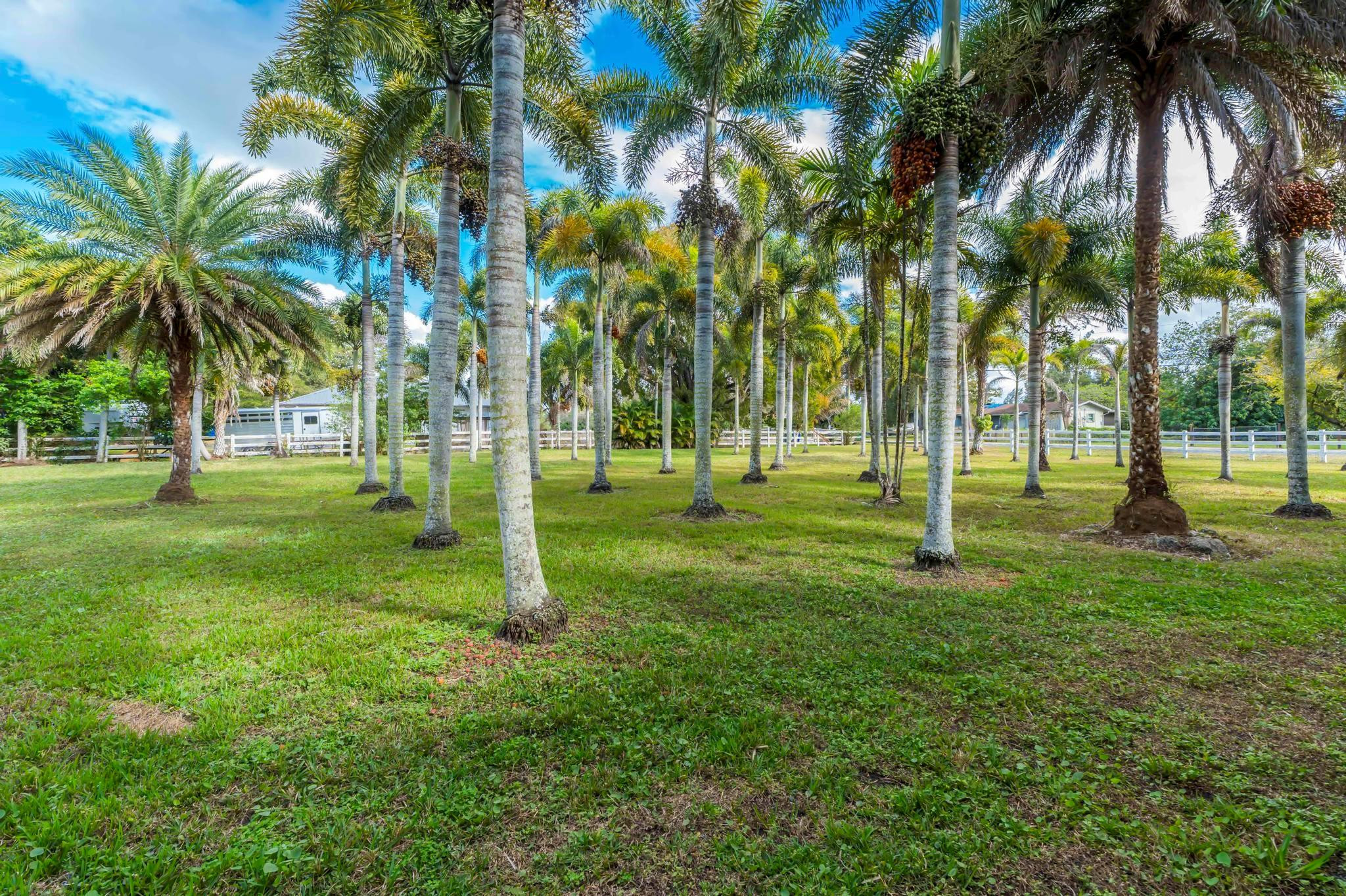 Chambers Sub Sw1/4 1-5b B - Residential Lease