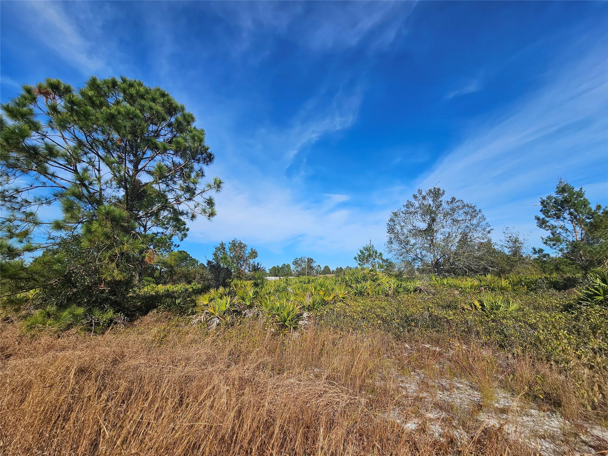 Are you looking to build your next home in a highly desired nieghborhood of Avon Park? Check out this corner lot in Avon Park Lakes. Just under half an acre MOL.