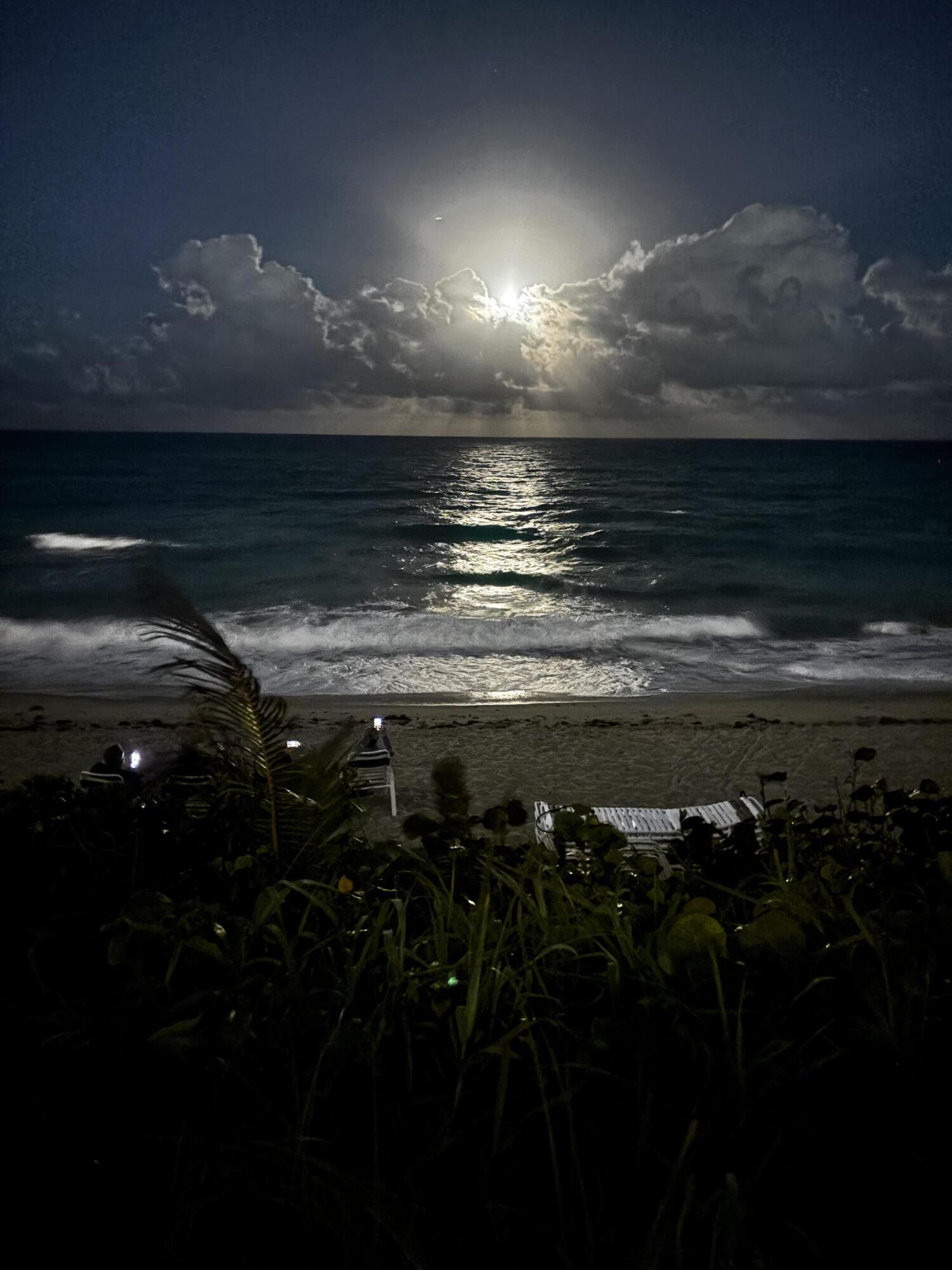 Hillsboro Ocean Club - Residential