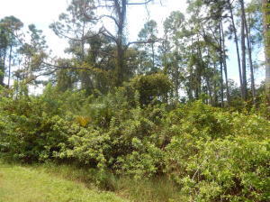 MONTURA RANCHES ESTATES 1 ST S/D - Land