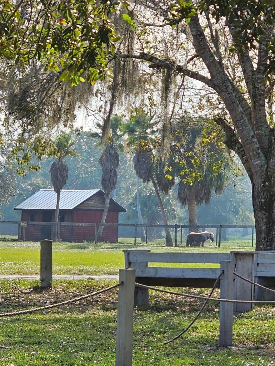 Must see this 20 acres Farm complex with angelic large oak trees featuring a main house 3/2 & a Lodge with 5 guest studio suits. The Lodge has a commercial Kitchen, large Living Room & Large Dining area. Next to the Lodge is the Event Pavilion that can easily accommodates 200 guests & additional screened-in barbeque area with gathering room & 2 baths. The Barn features a center aisle design 8-stalls with tack & feed rooms. Also, the property has 3 duplexes, (5) 2/2 & (1) 1/1. Not fully occupied the income is presently $100K with expenses running around $74K with a potential of $120K PLUS. Plus, there is a large A/C work room.  All is believed to be true, please verify.