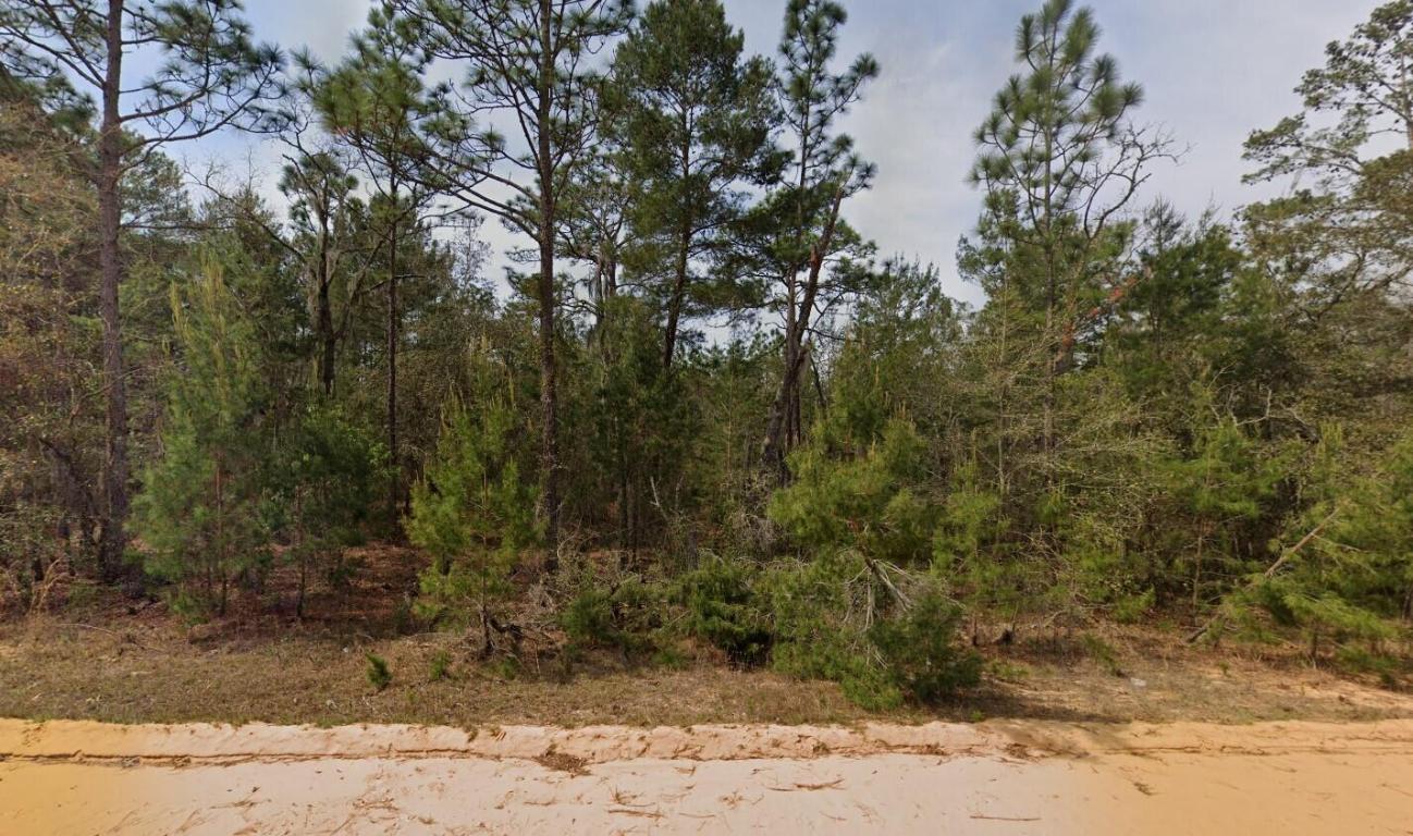 INTERLACHEN LAKES ESTATES - Land